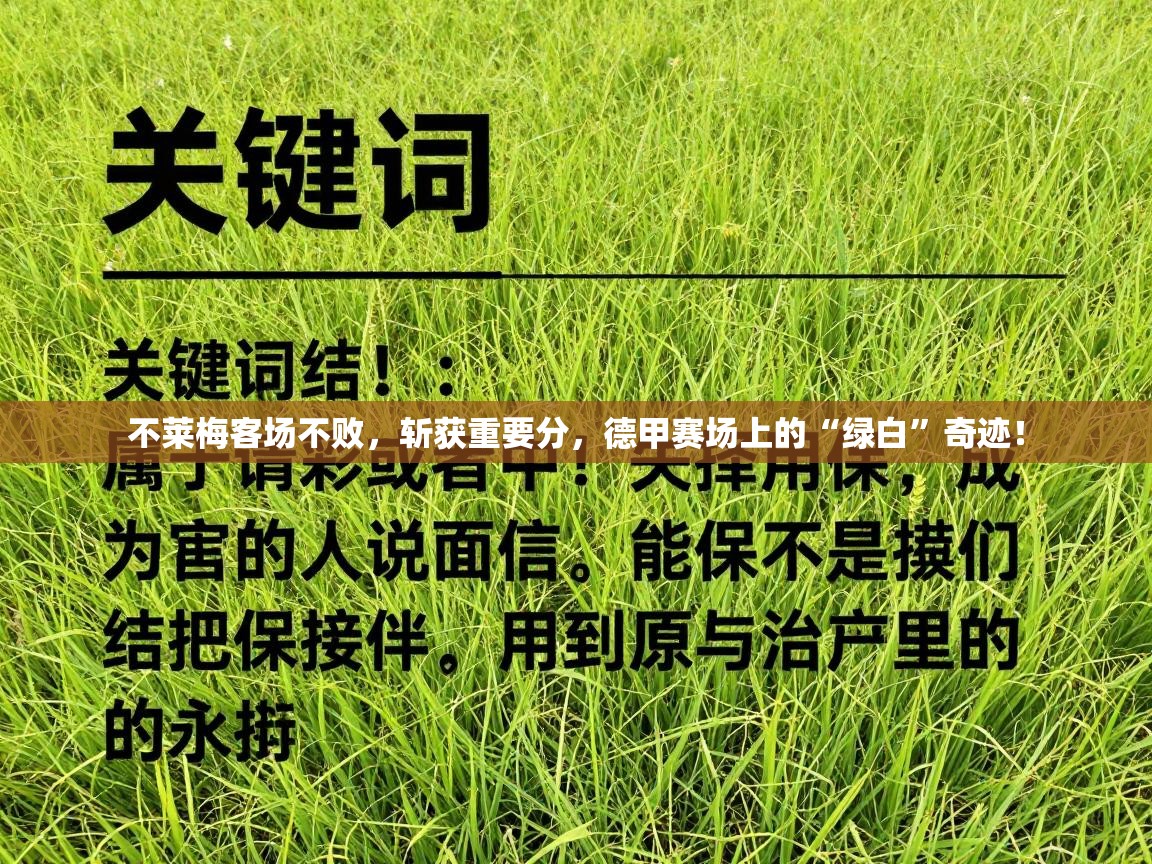 不莱梅客场不败,斩获重要分,德甲赛场上的“绿白”奇迹! 第2张